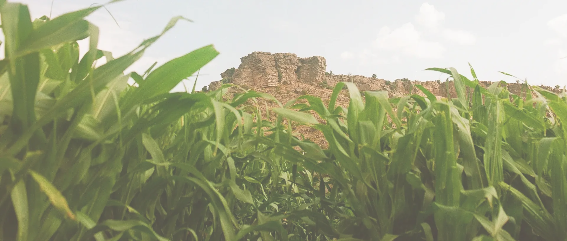 sustainability-banner